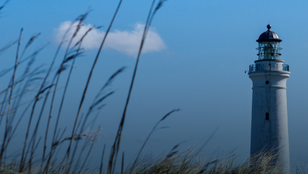 banner_baeredygtighed