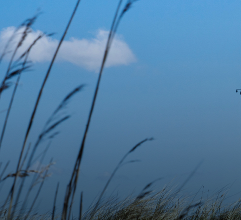banner_baeredygtighed